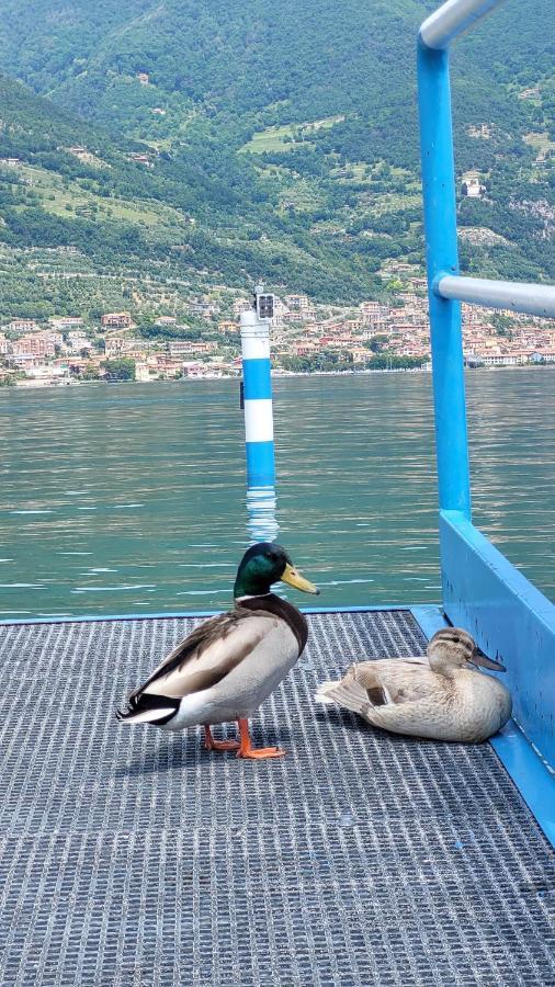 Light On Lake Iseo Clusane Exterior photo